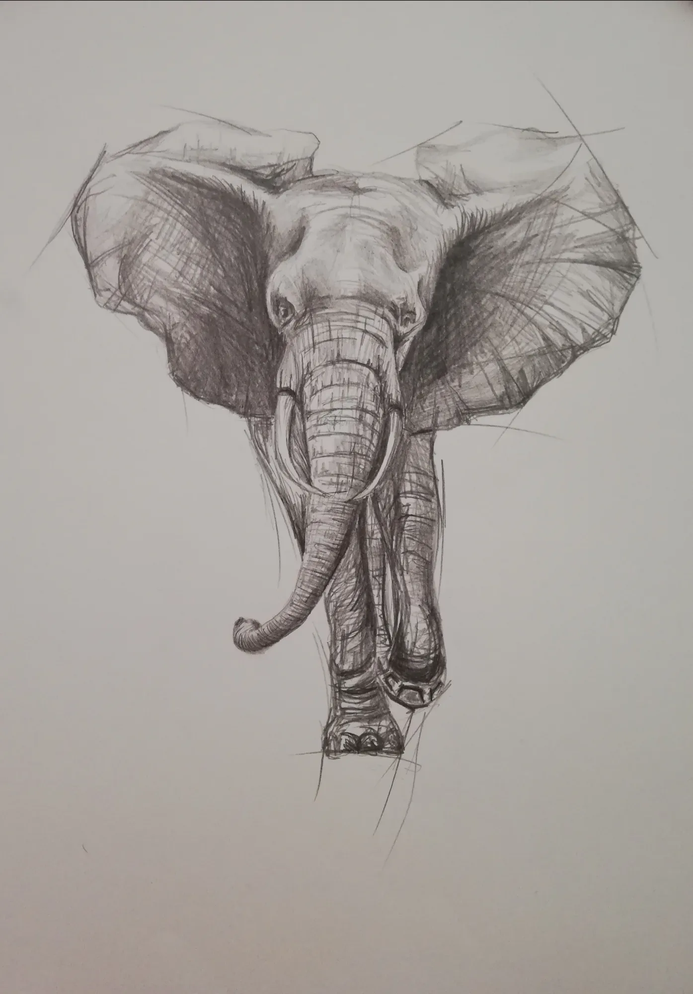 Majestät der Savanne